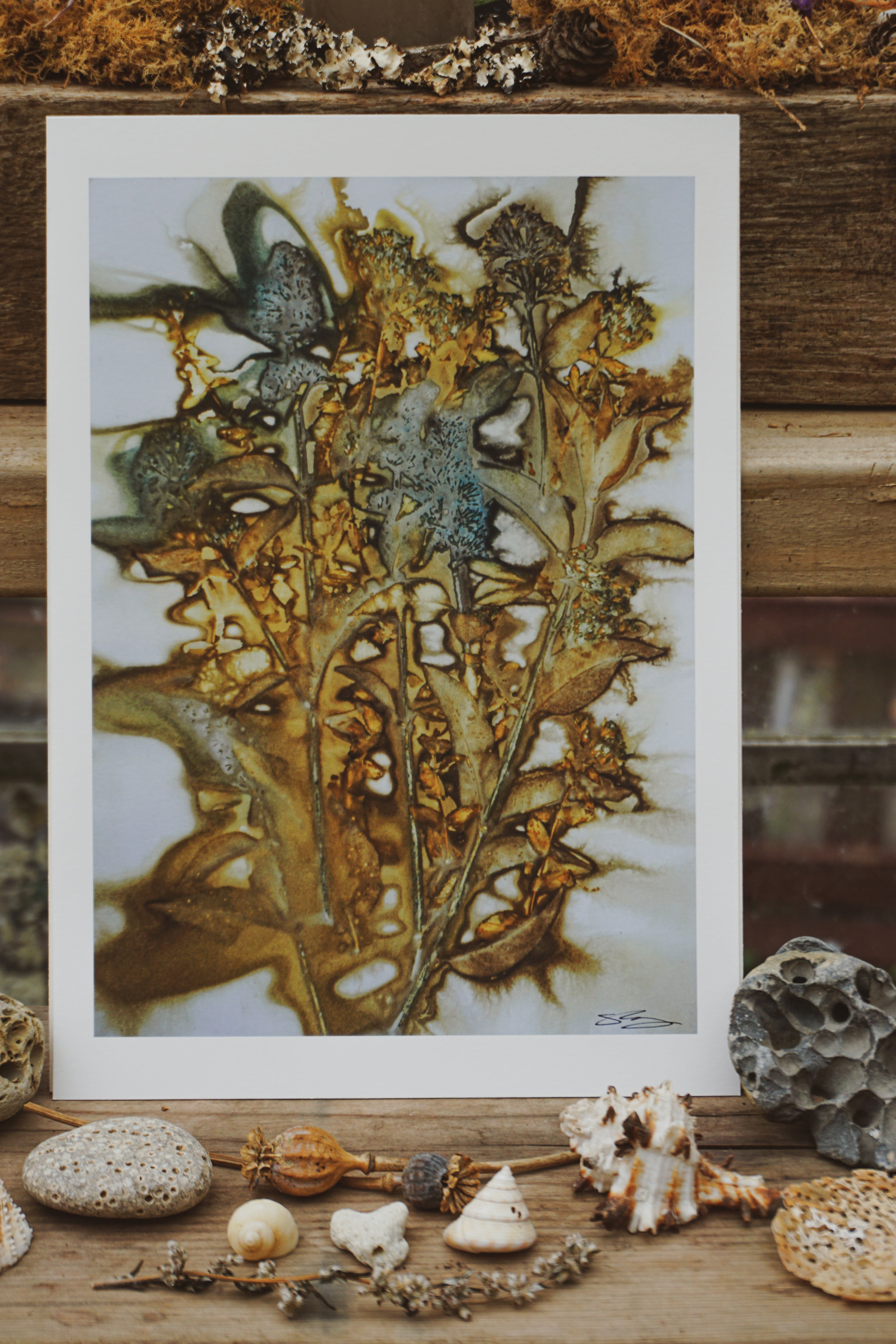 'Budleja in Bloom' Nature Art Print