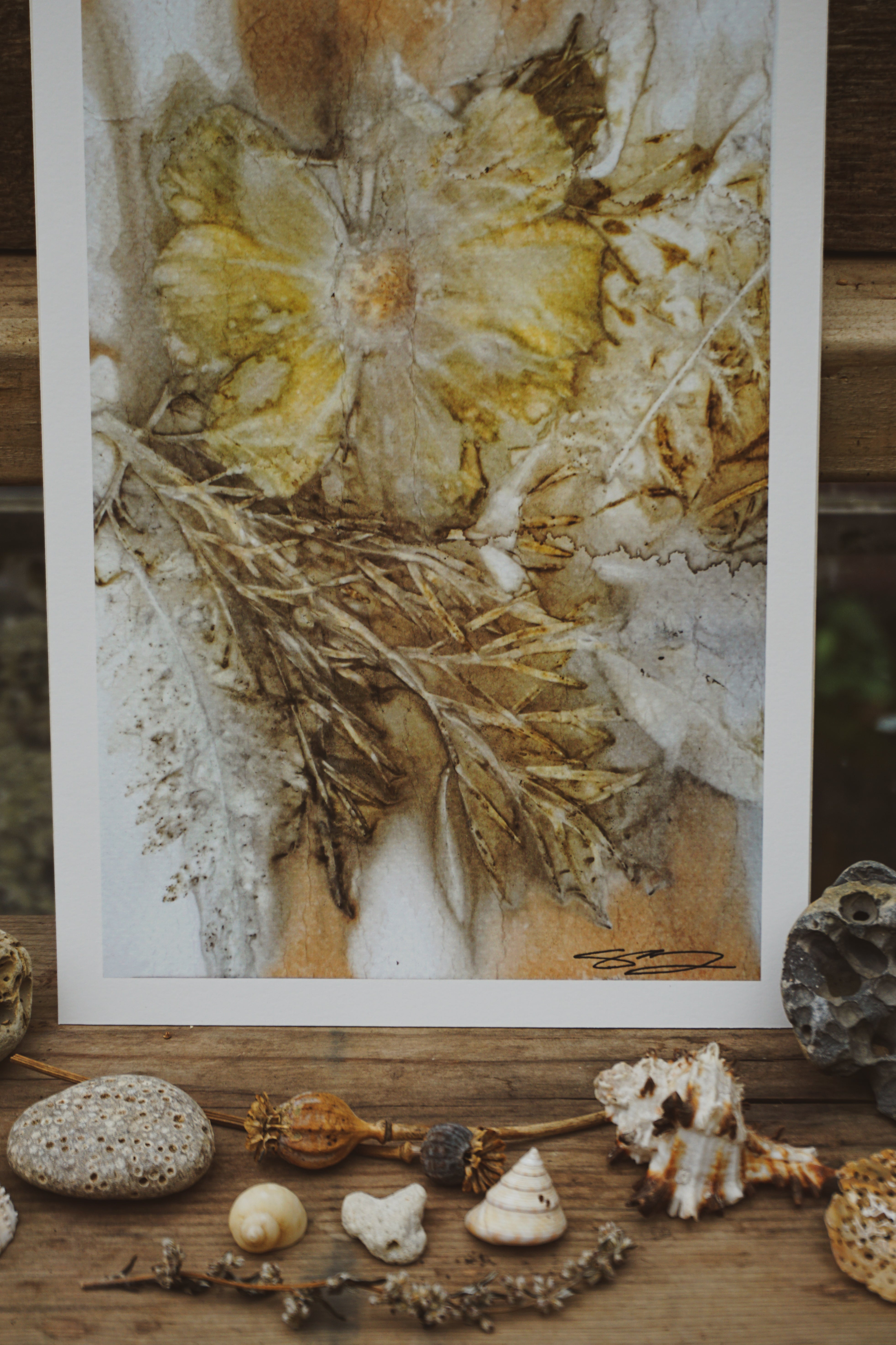 'Golden Cosmos' Nature Art Print