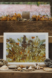 'Wildflower Meadow' Nature Art Print