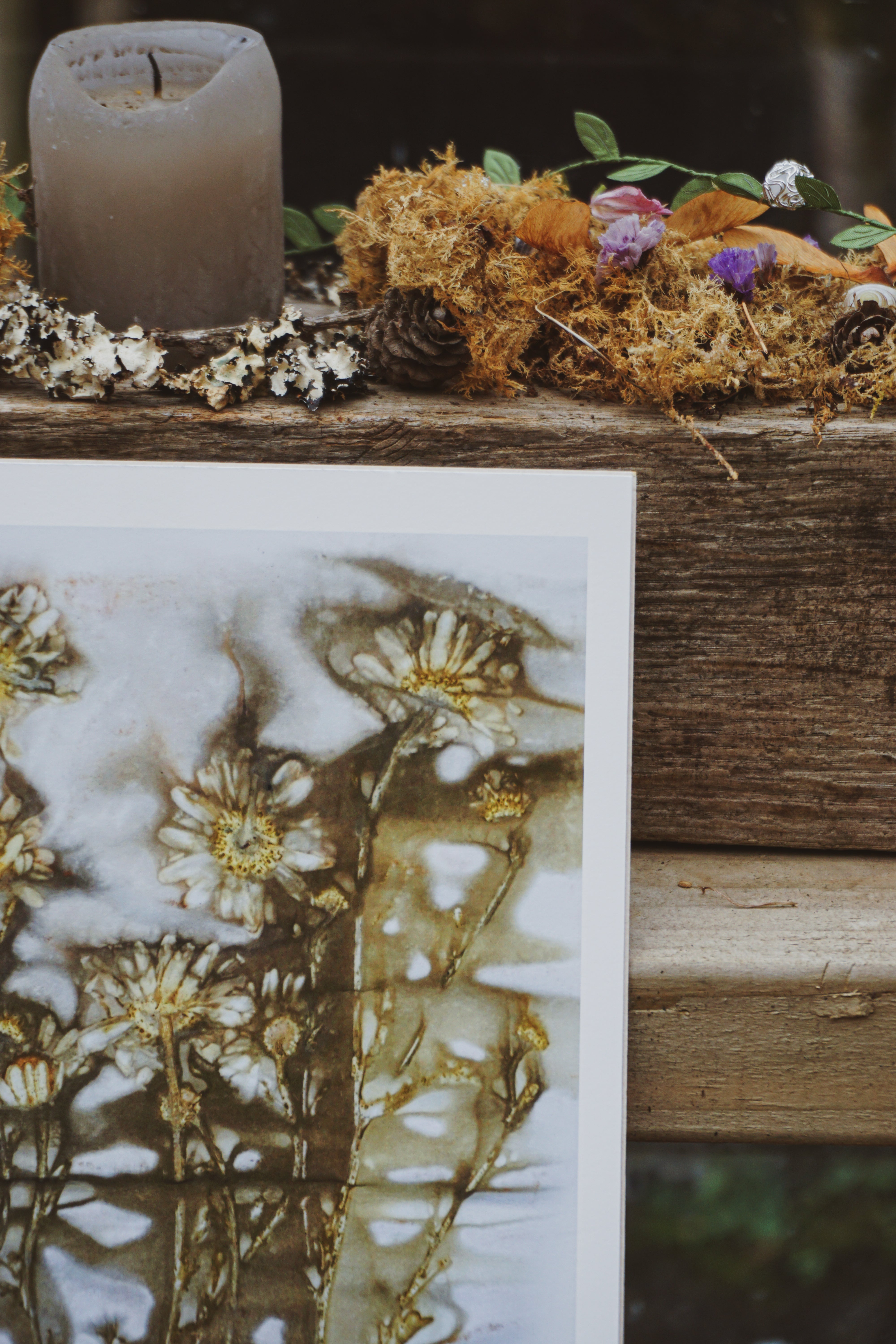 'Dance of Daisies' Nature Art Print