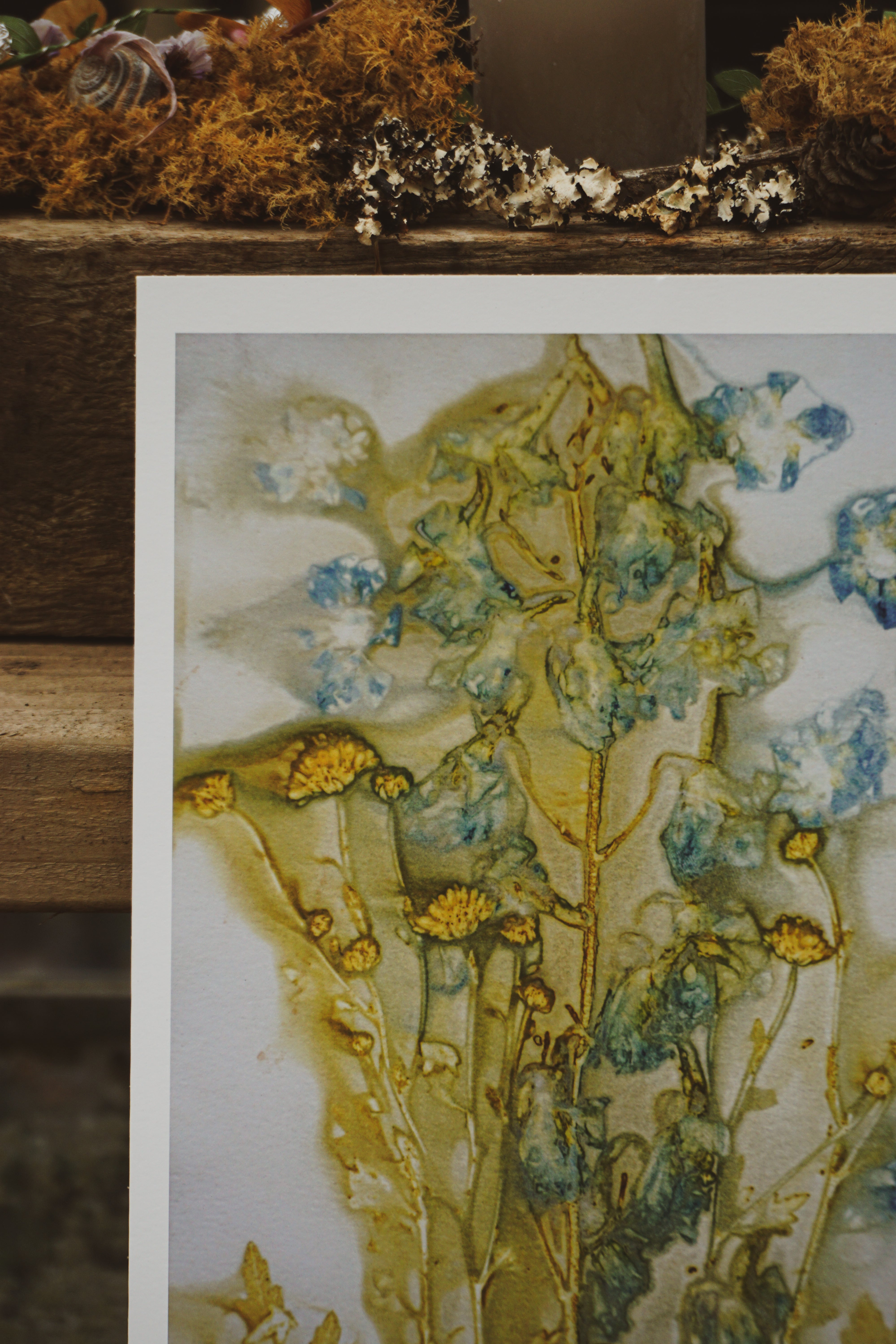 'Delphinium Daydreams' Nature Art Print